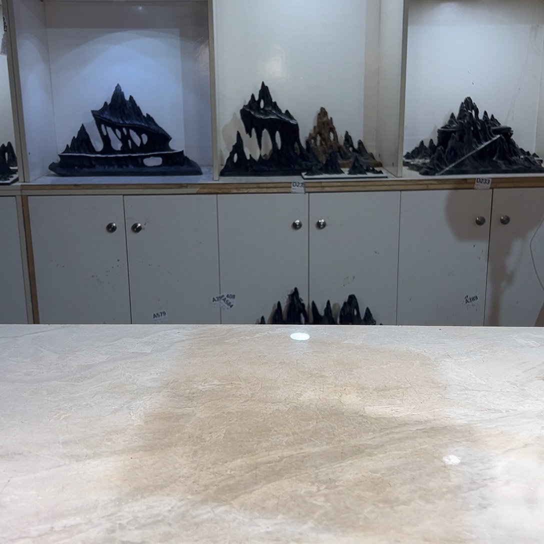 灵璧奇石博览会金奖木****琦