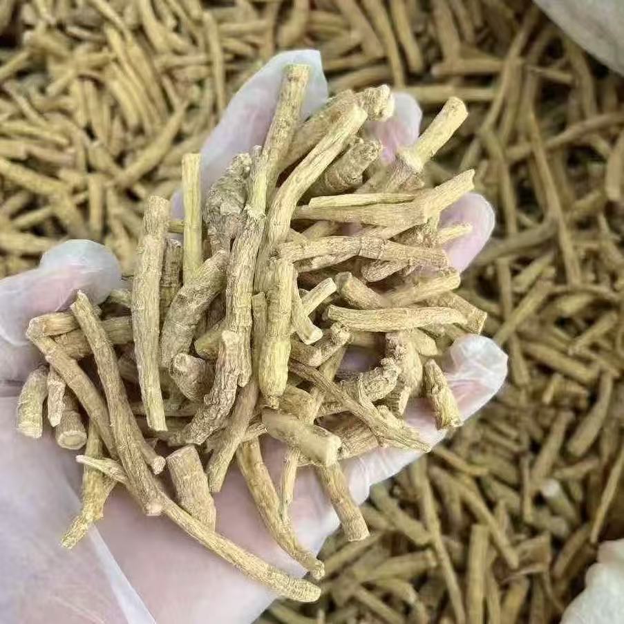 优质整根发  西洋参 花旗参 参腿 可切片 打粉用于煲汤