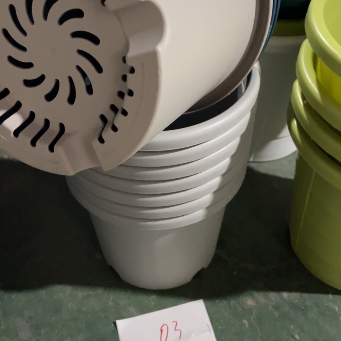 编号是03号的03号的