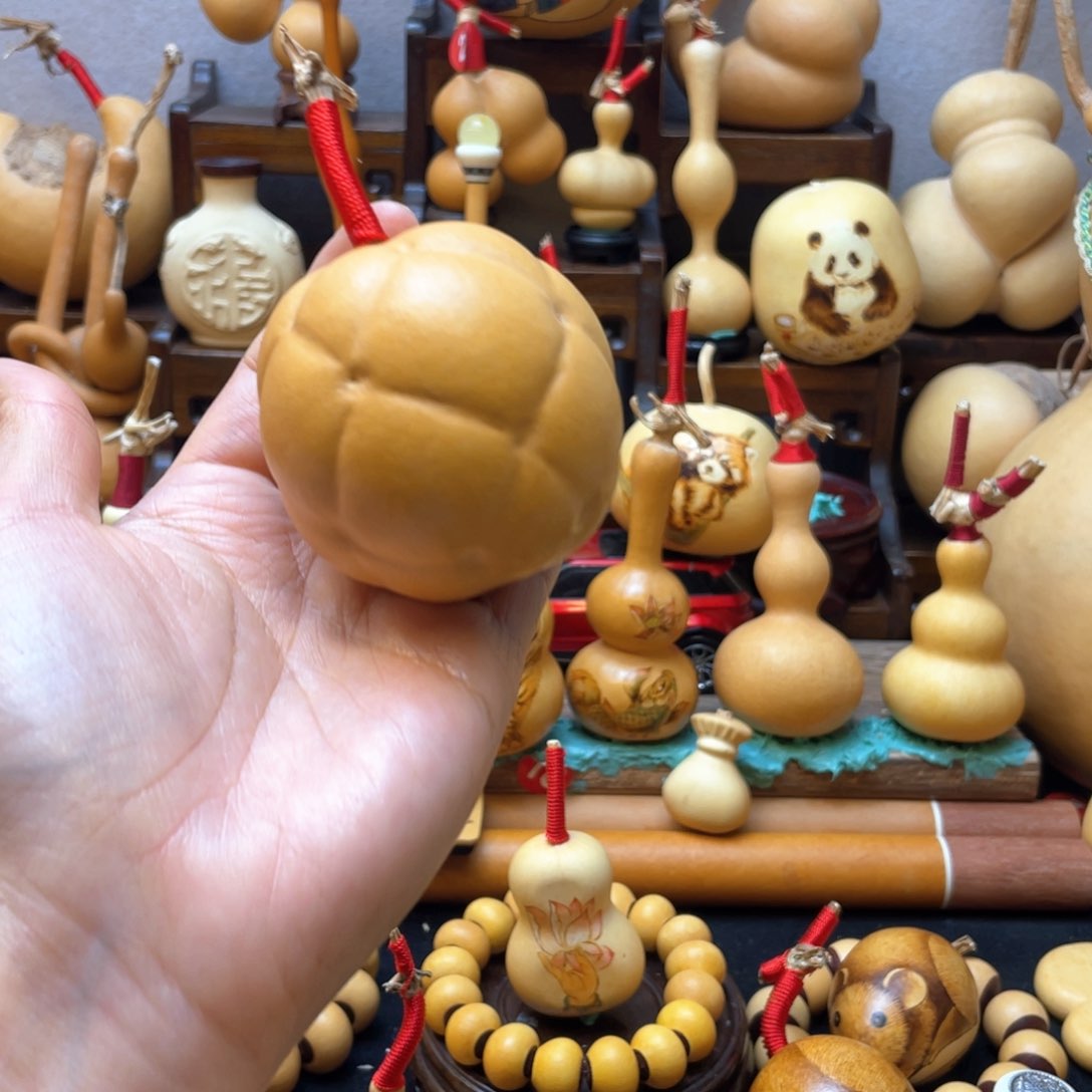 田*大自然的秘密第十节第二十