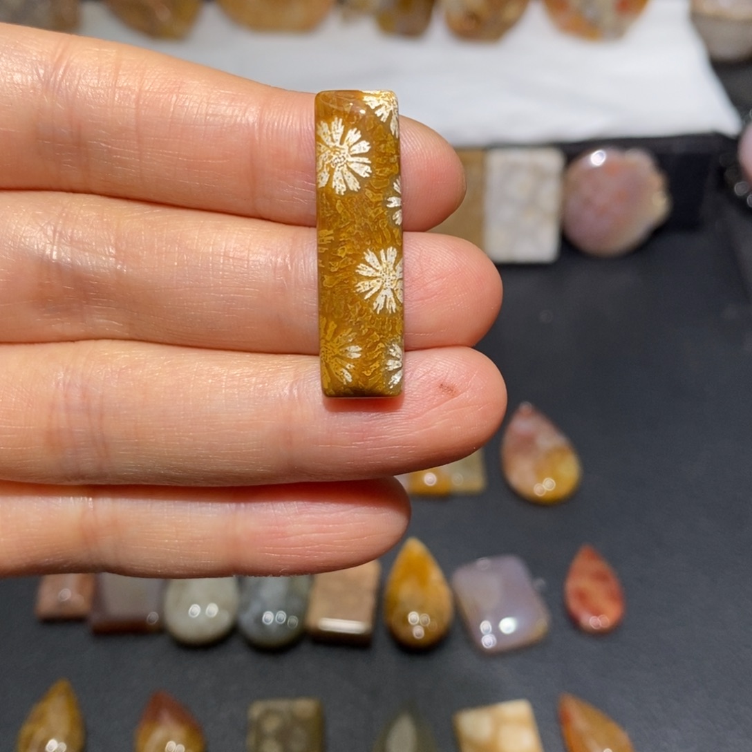 【闪购商品】硅化玉颈饰未镶嵌