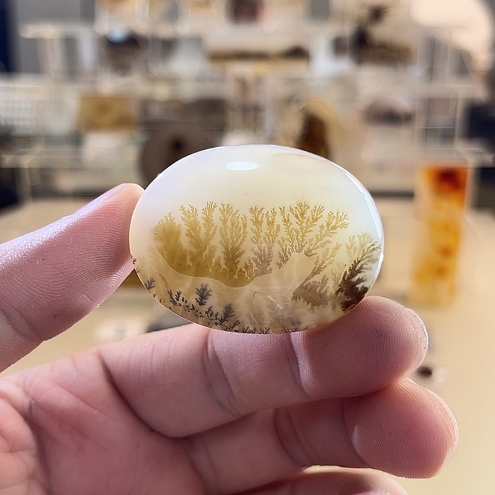 未镶嵌吊坠(不含链)玛瑙/玉髓