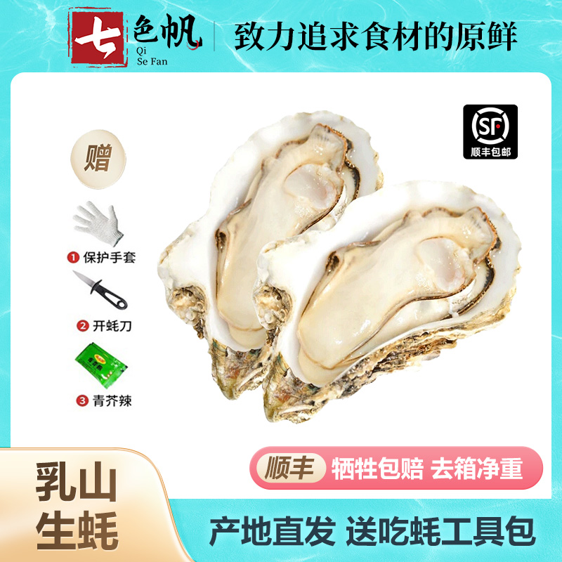 【乳山生蚝】5/10斤黄金牡蛎海蛎子鲜活发货牺牲包赔海鲜水产特产