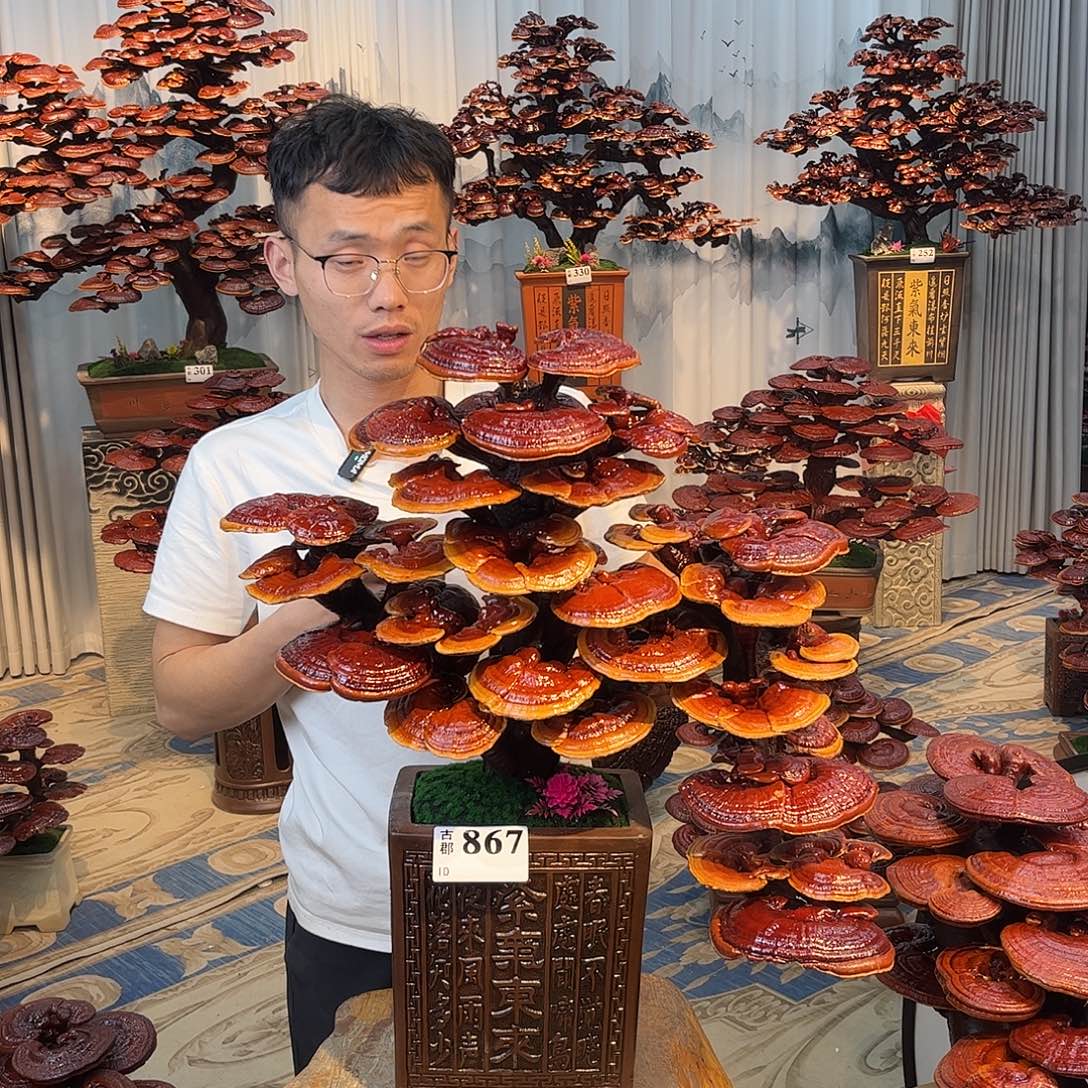 伟***达无花朵88888888888