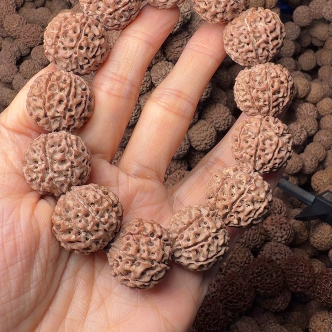 金刚菩提手串9瓣卡22尺，95号