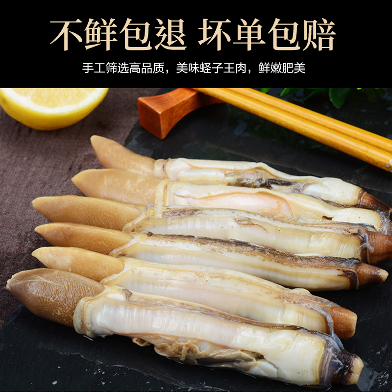 蛏王肉新鲜无沙去壳蛏子肉冷冻现捕现剥M