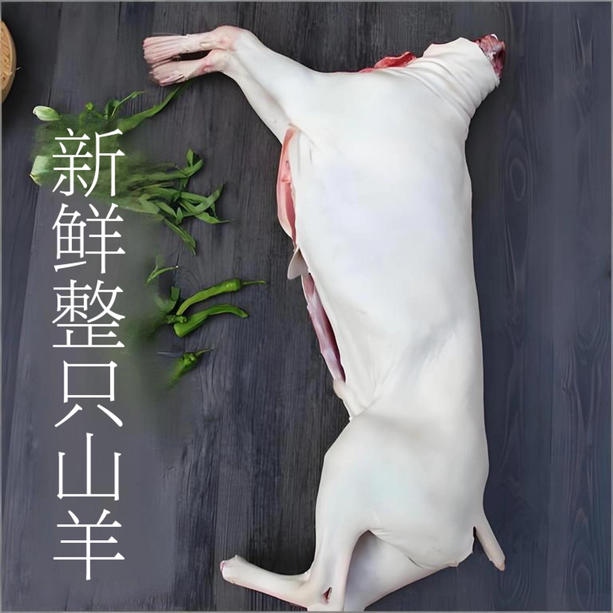 1010白山羊/黑山羊 半只山羊 整只山羊 现场打包 带皮带骨山羊肉