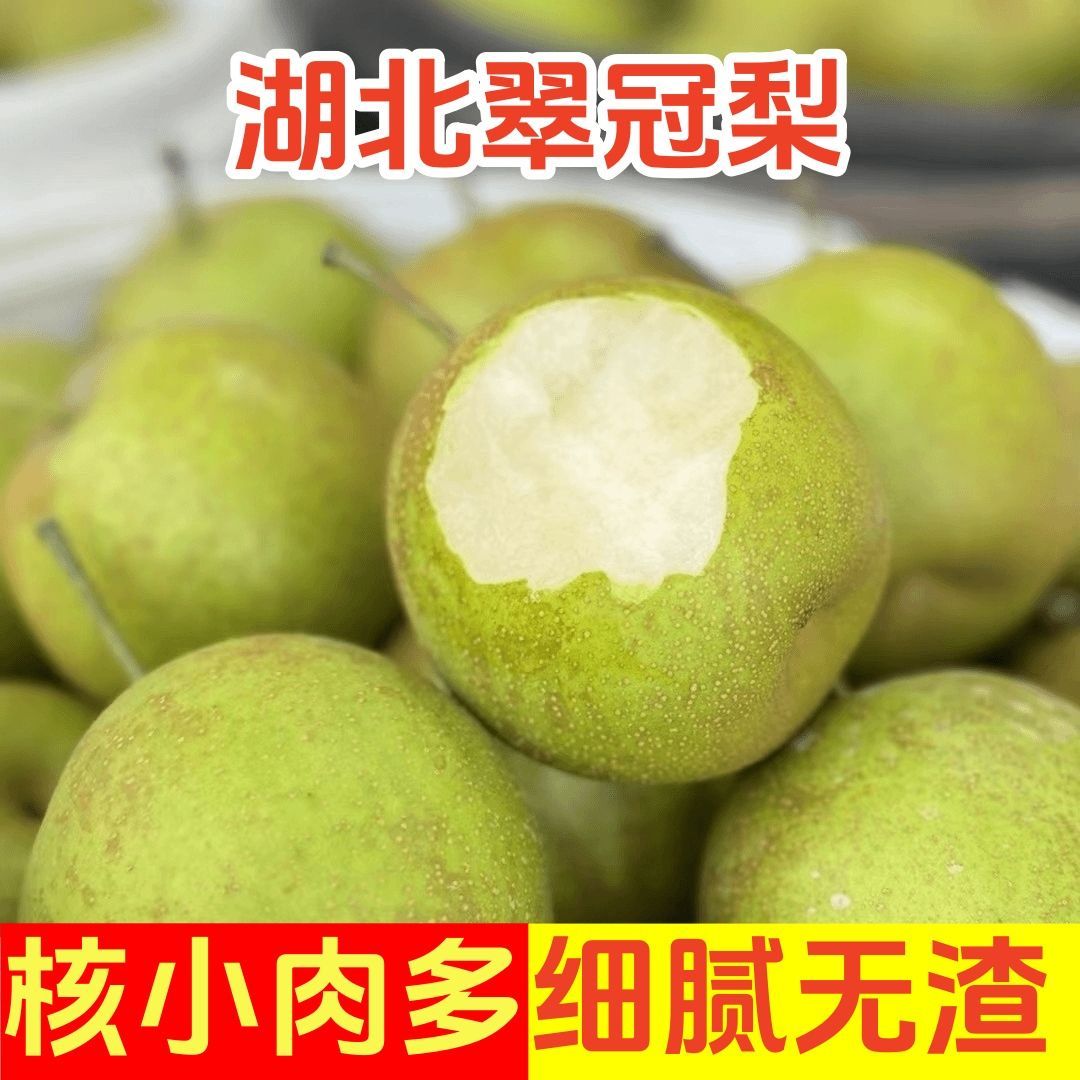 助农 砂梨翠冠梨当季新鲜水果脆甜多汁黄花梨非秋月梨皇冠梨