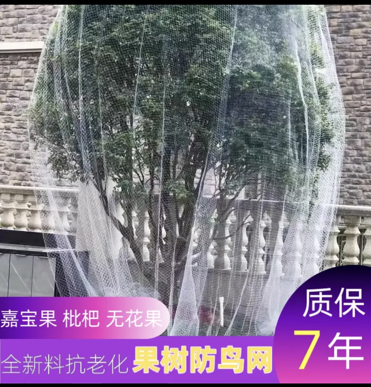 防鸟网果园防鸟网爬藤网防鸟害网大棚防护用网养殖网防鸟用的网