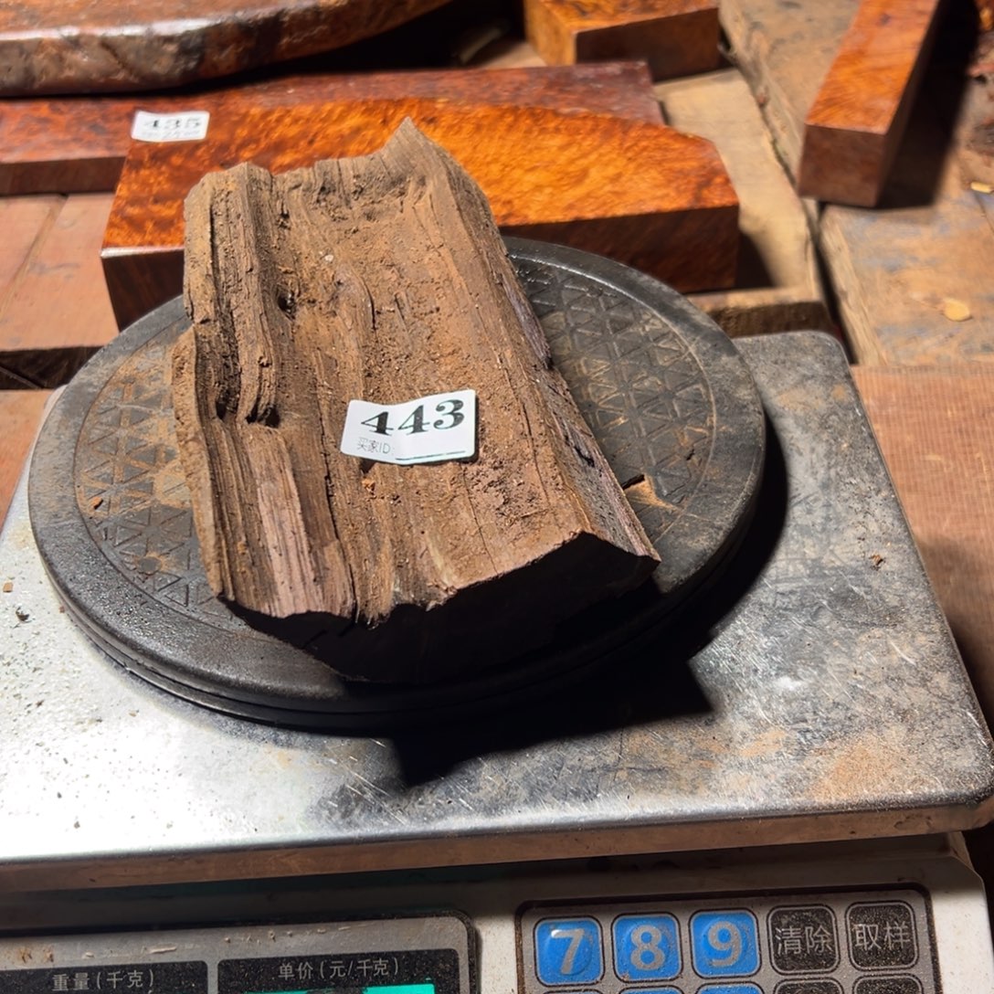 开***号大果紫檀（缅甸花梨）