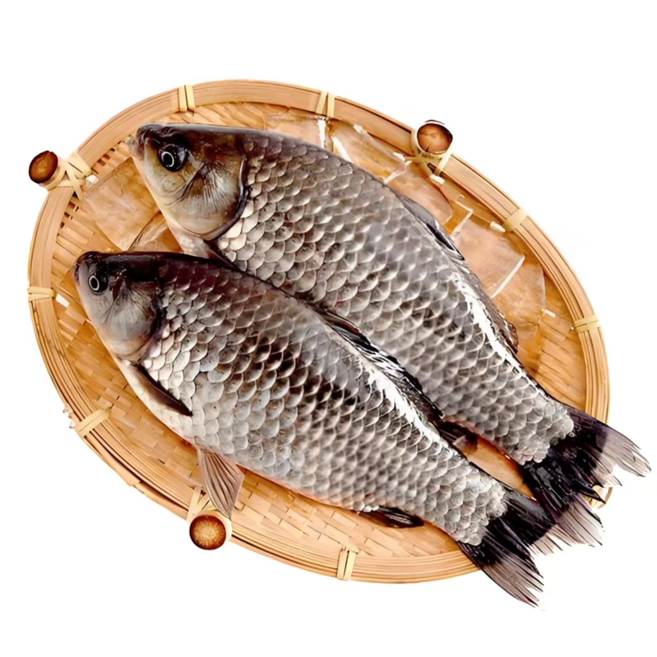 微山湖野生鲫鱼到手5斤包鲜不包活 小号鲫鱼（顺丰包邮）真空包装