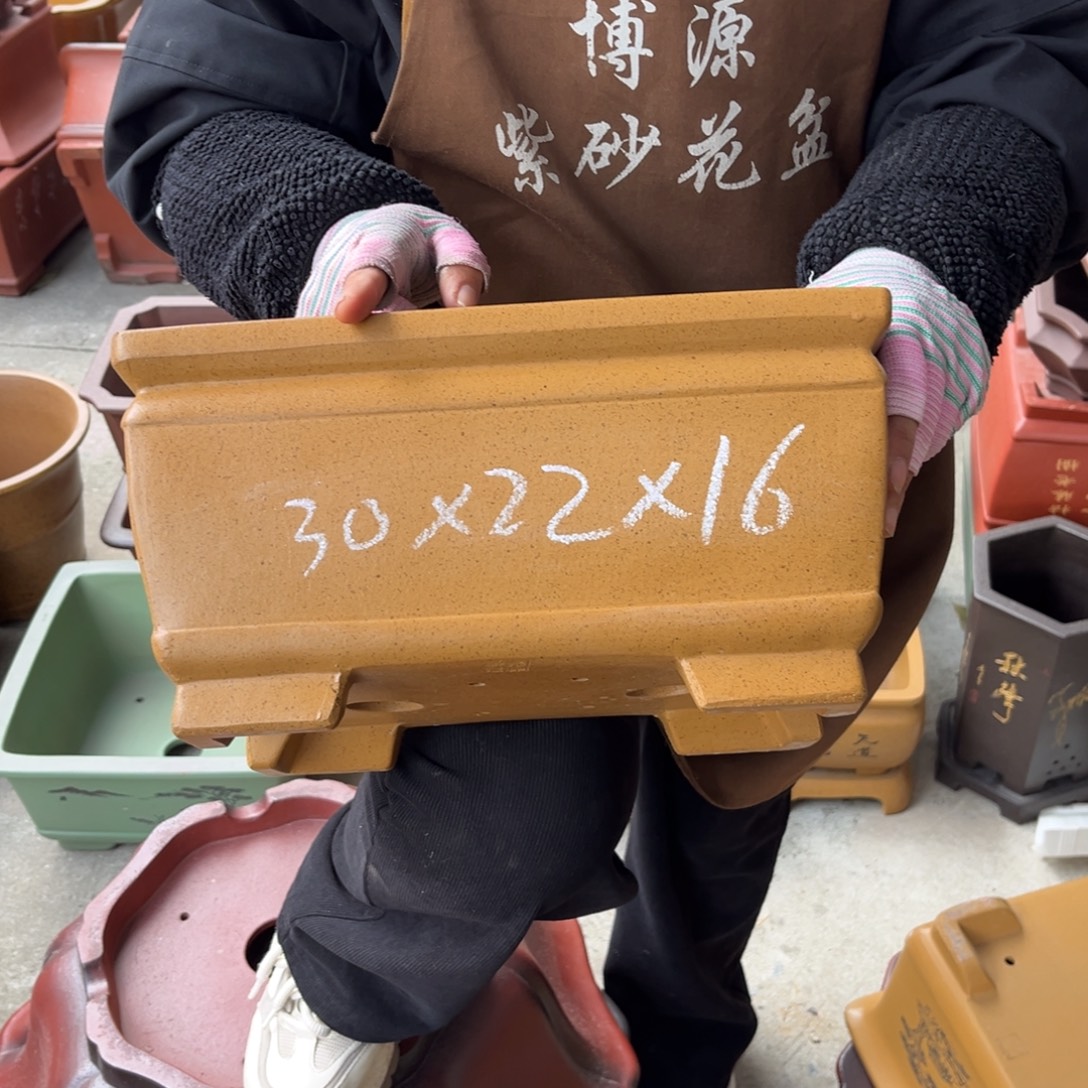 花盆紫砂盆景艺术