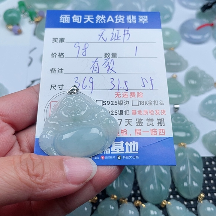 翡翠颈饰银S925镶嵌天然翡翠吊坠
