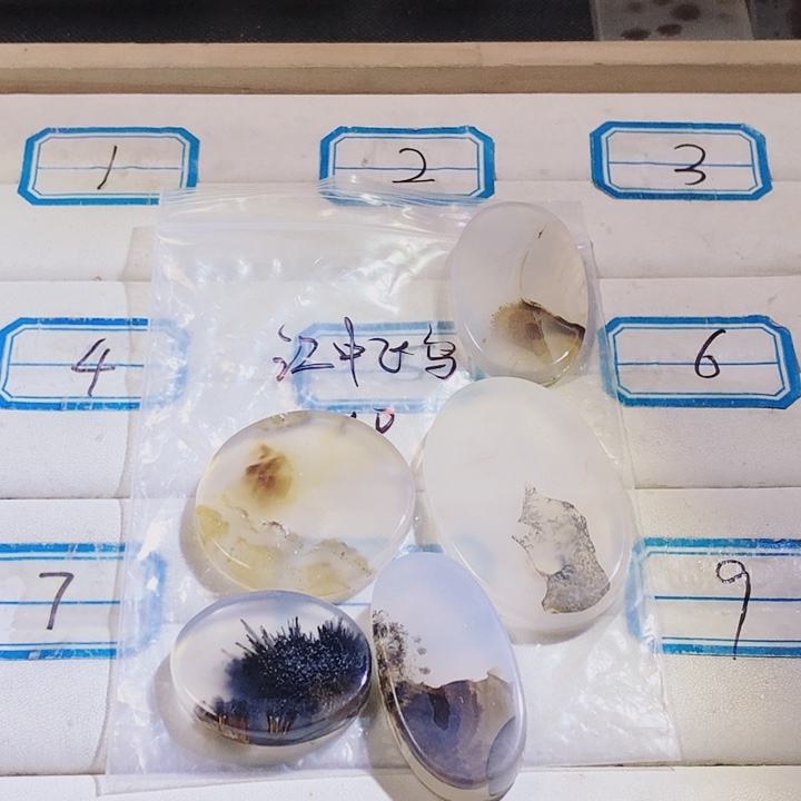 合金颈饰玛瑙/玉髓江**鸟