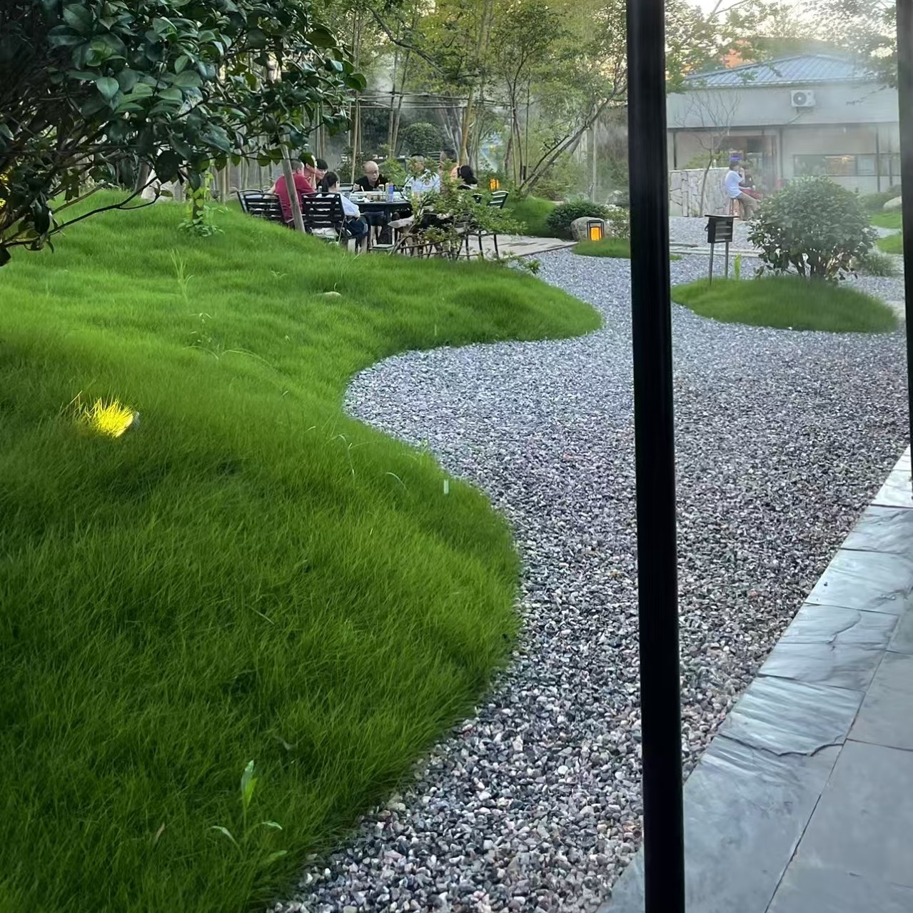 草皮真草坪带泥土别墅花园绿化四季青果岭草台湾草马尼拉草皮带土