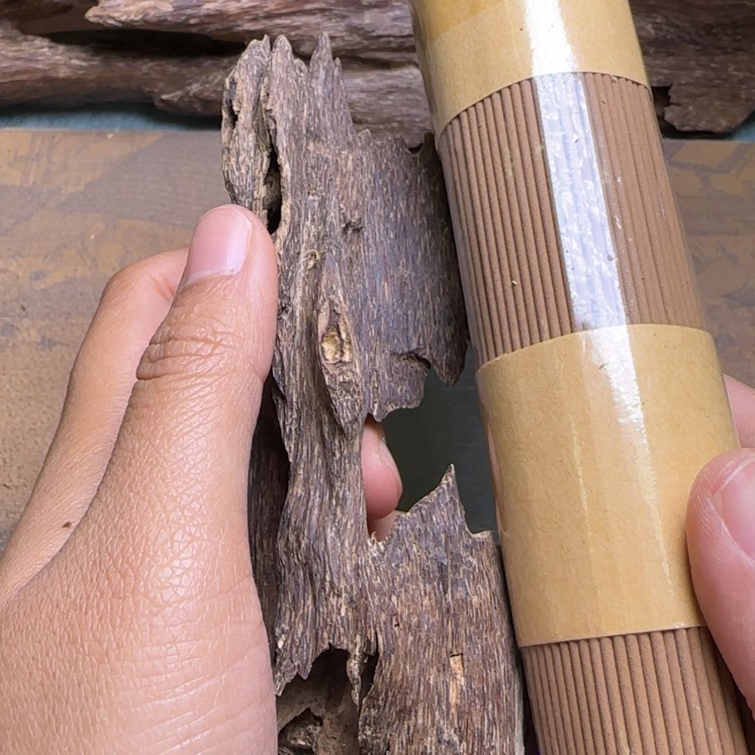 海南尖峰岭老虫漏26克重福利