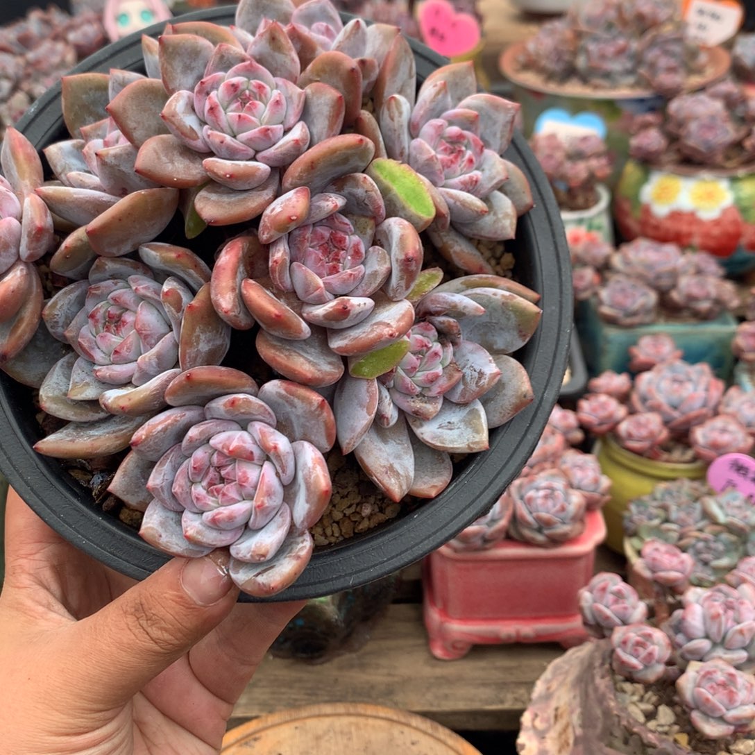 哈哈哈哈哈哈哈哈14