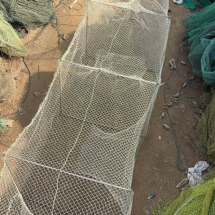 大***骆鱼笼529229929259040404