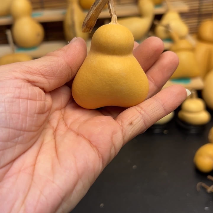 ?*酷固态葫芦葫芦葫芦葫芦葫芦葫芦