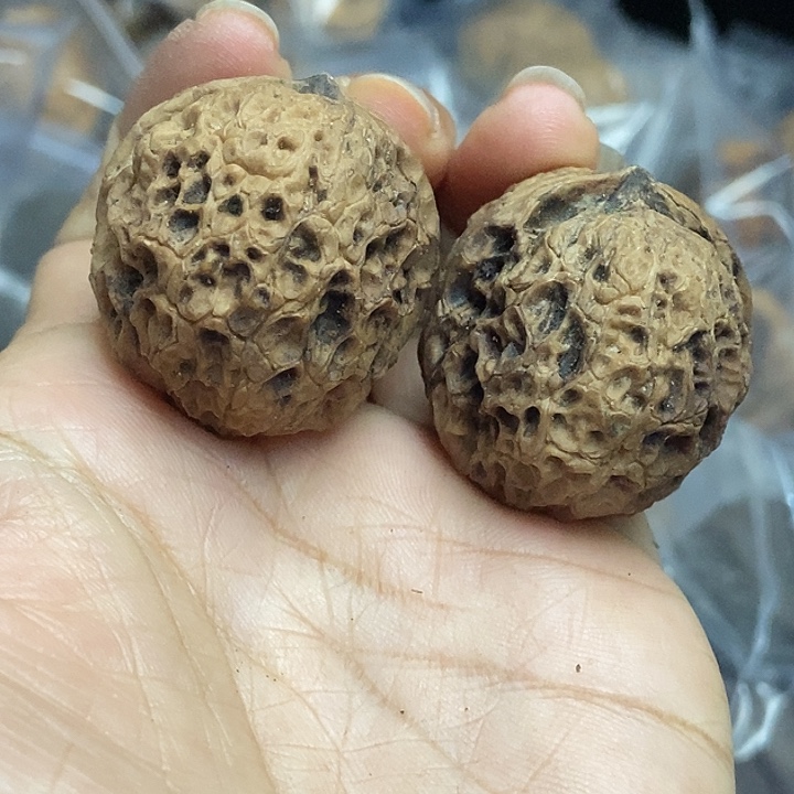 把件文玩核桃云南铁核桃基地36