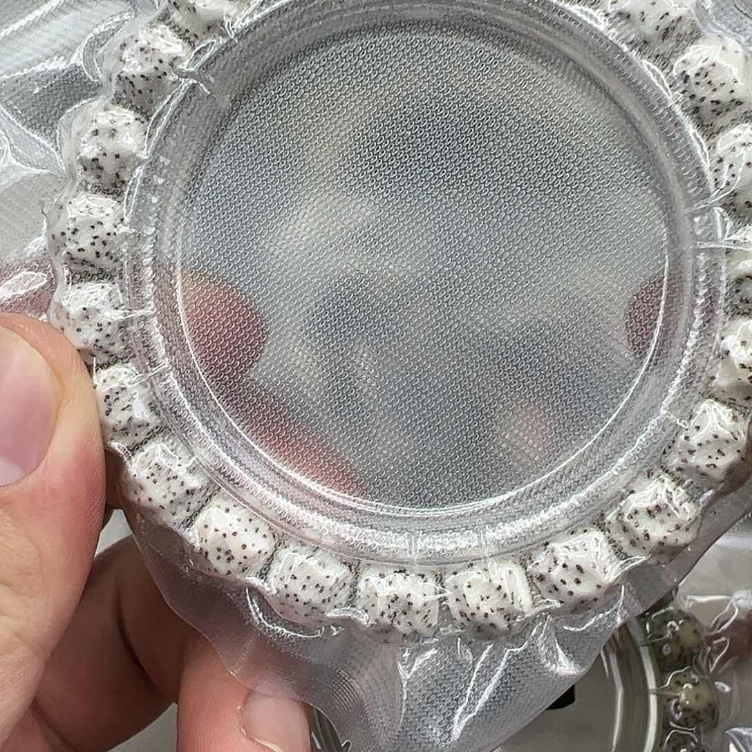 星月菩提手串4卓越原脂白星月菩提单圈无相10