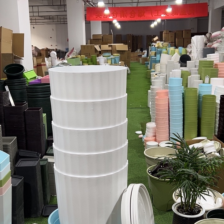 FA220白色口22高24带拖5只