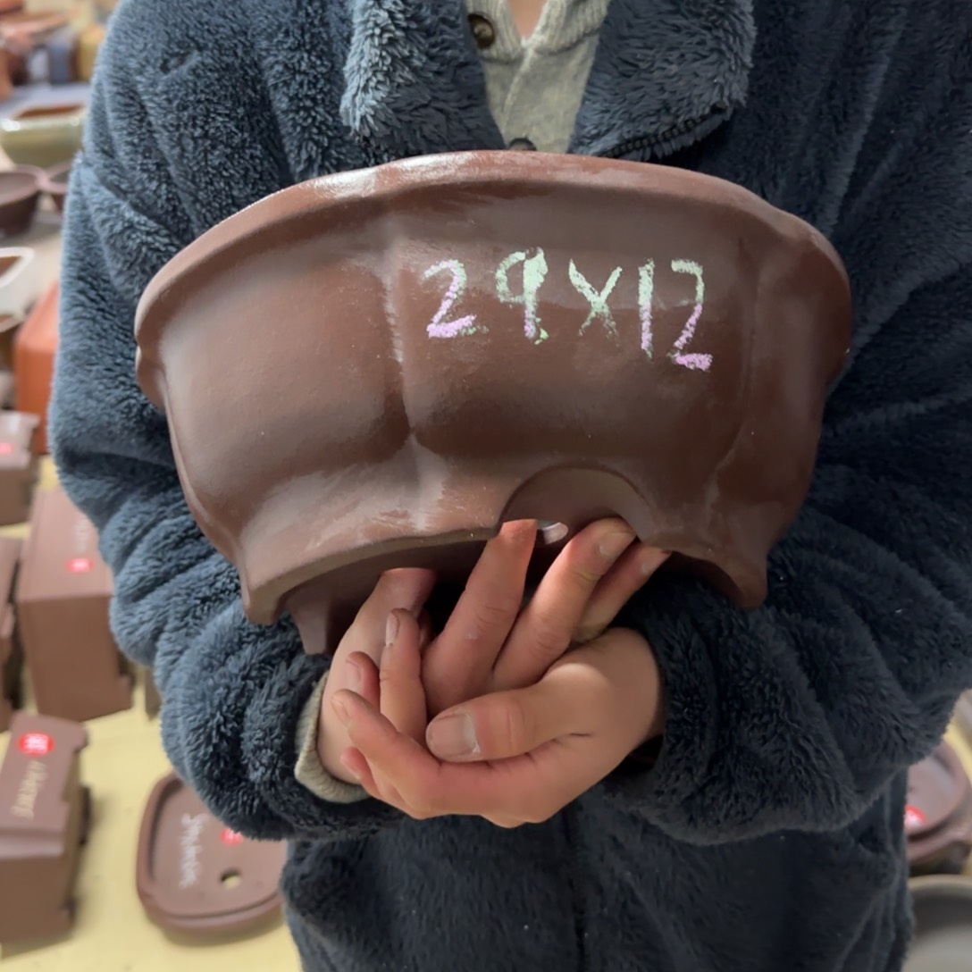 紫砂花盆呜呜呜呜