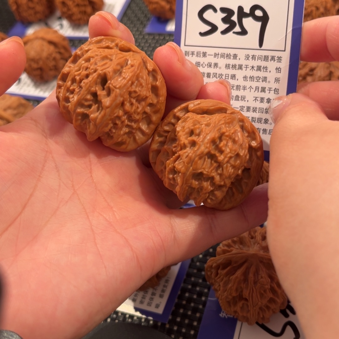 核桃S359号白狮子41尺