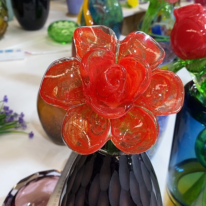 夜光花高45厘米宽12厘米