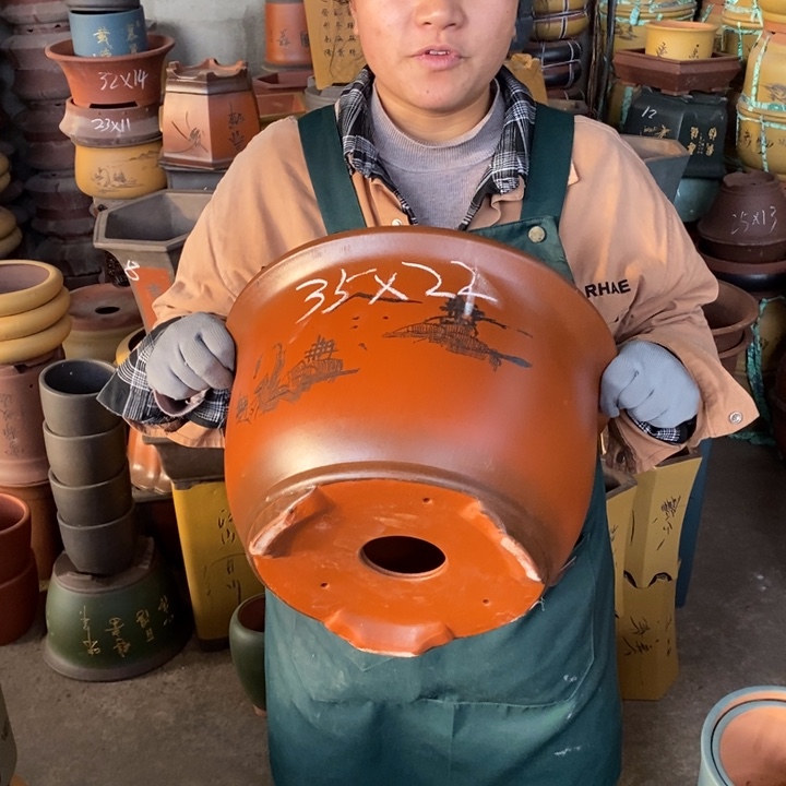 紫砂花盆盆栽花卉苗木种植