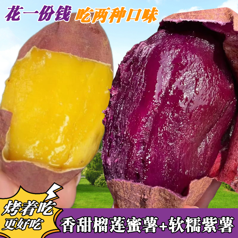 云南黑美人紫薯与蜜薯双拼组合香甜软糯新鲜粗粮