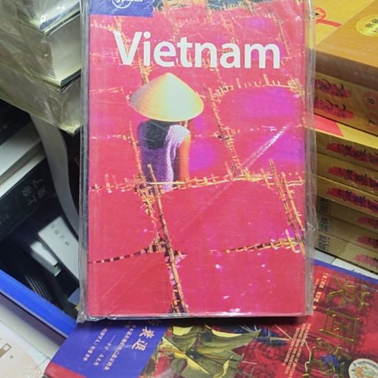 vietnam库存书（务必塑封）英文书