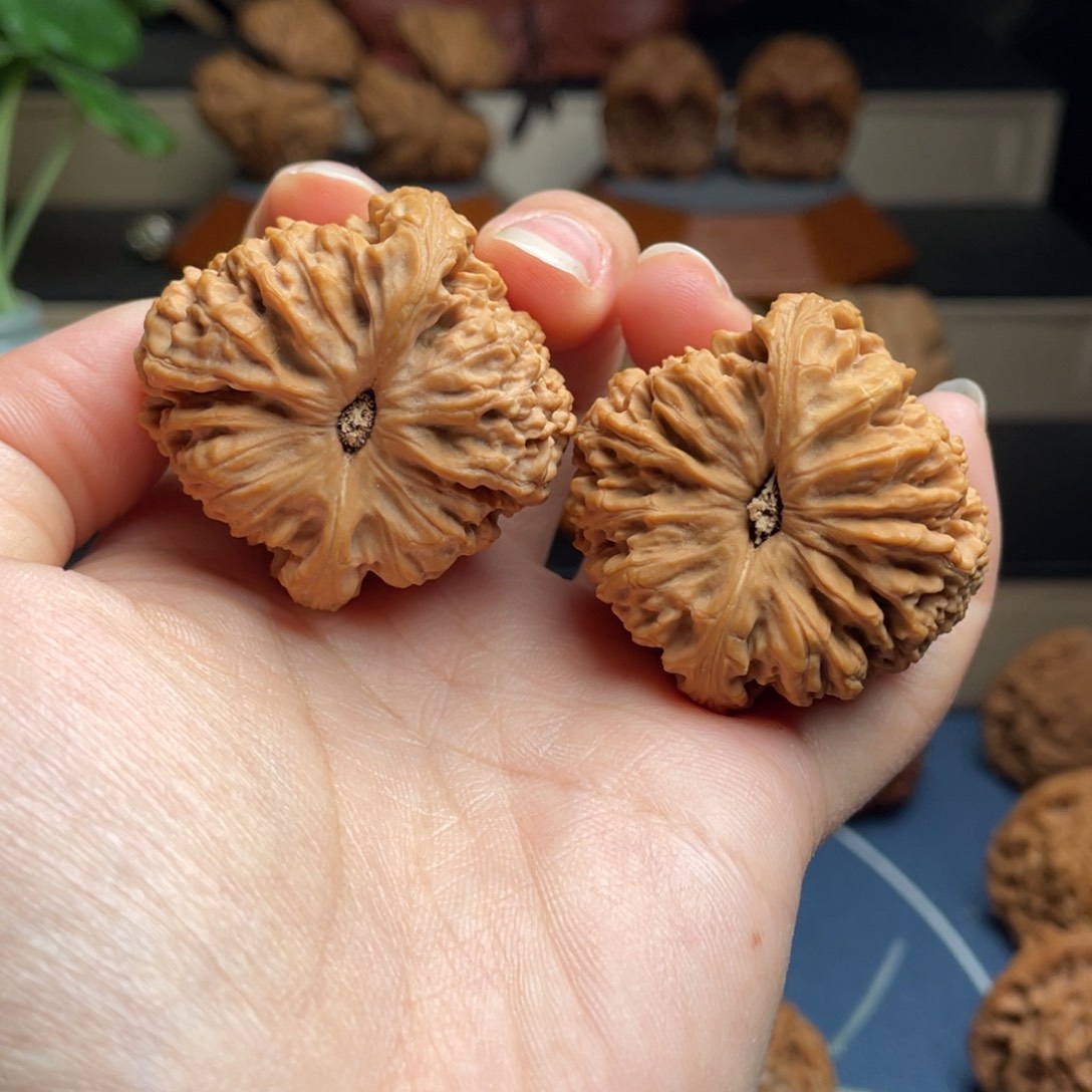 文玩核桃把件老*长核桃