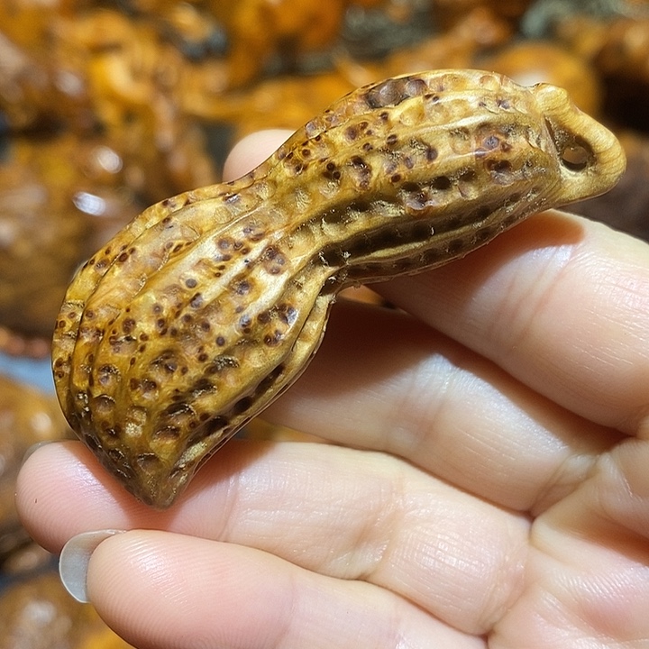 柏木太行崖柏陈化