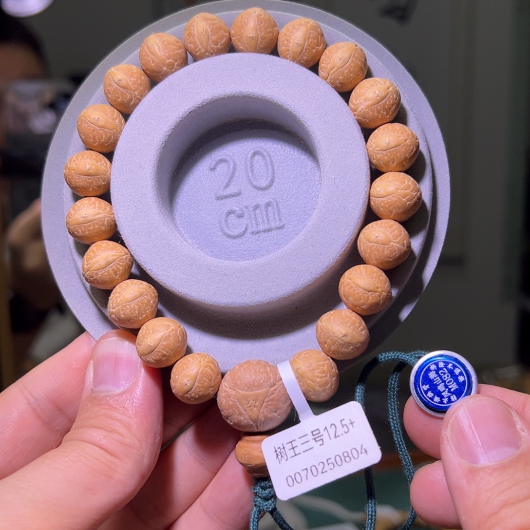 凤眼菩提手串25新籽、树王三号