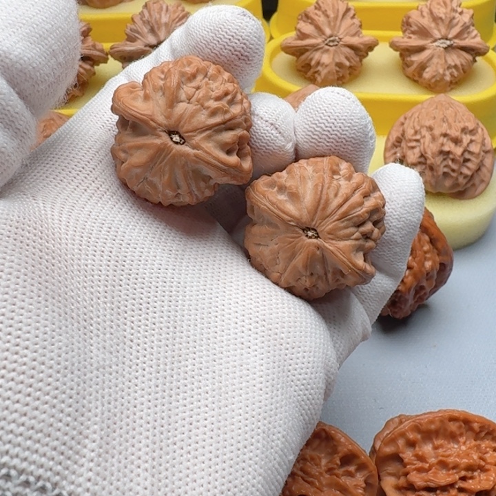 核桃福利小金鱼文玩