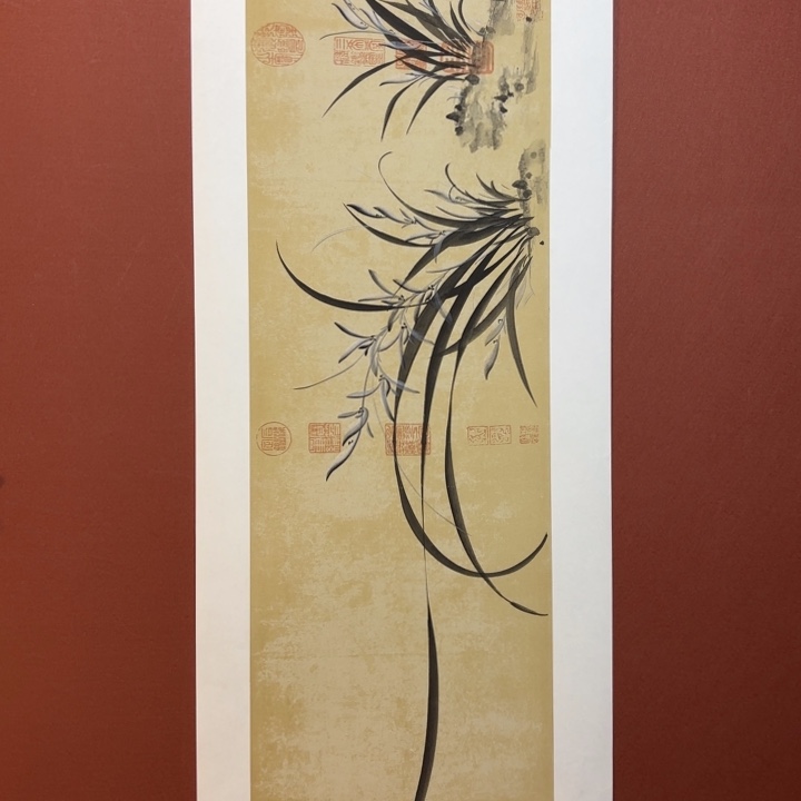 国画听兰老师花鸟