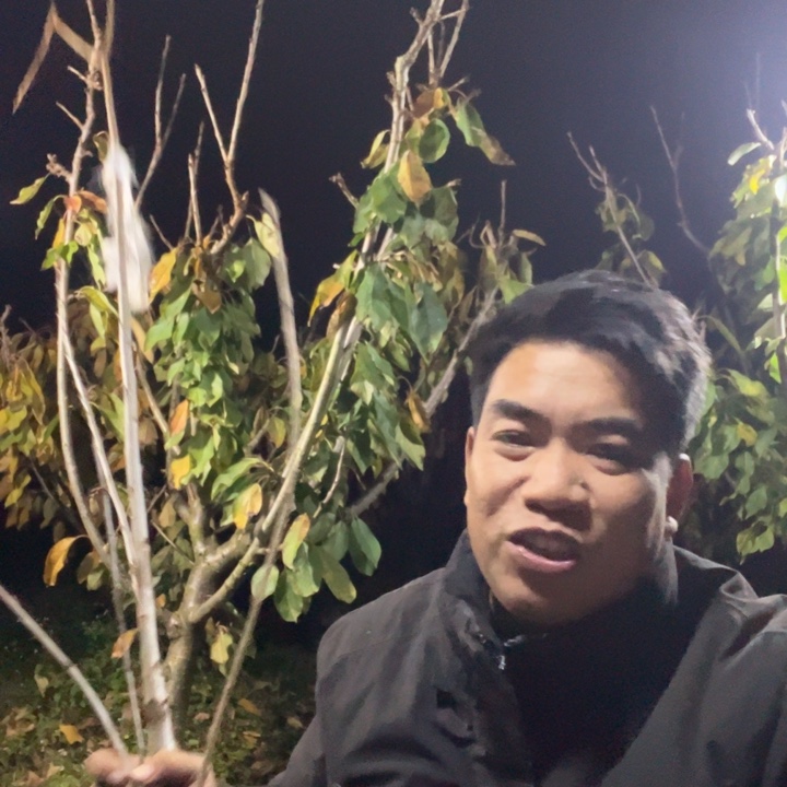 U***R当前无花栽培后可以开花63