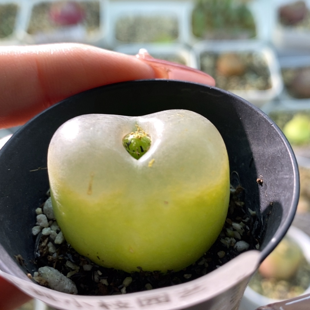 689毛1111111111111111