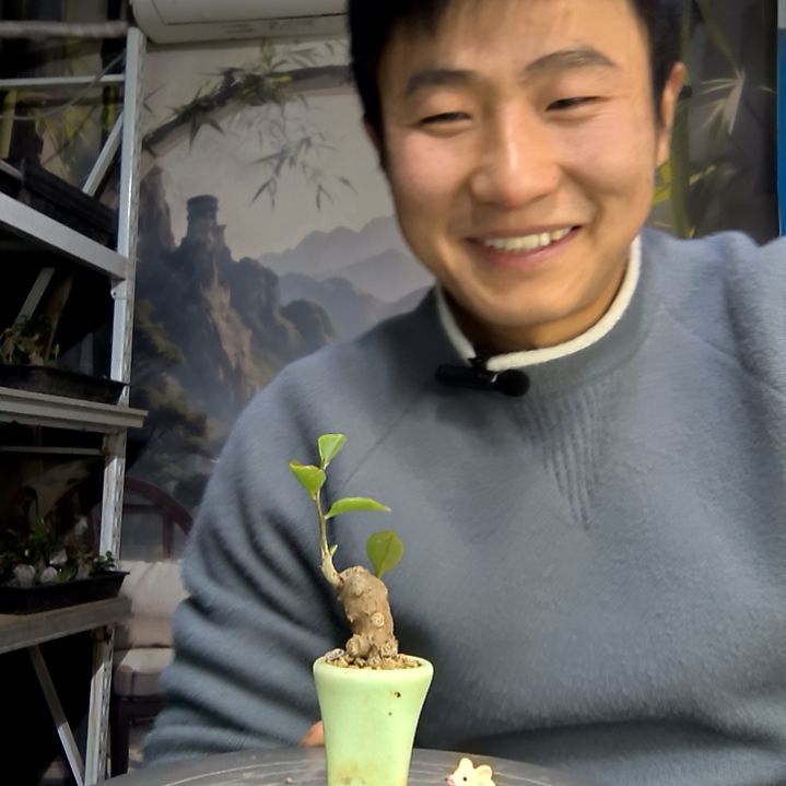 用***2中青园艺一物一拍花424