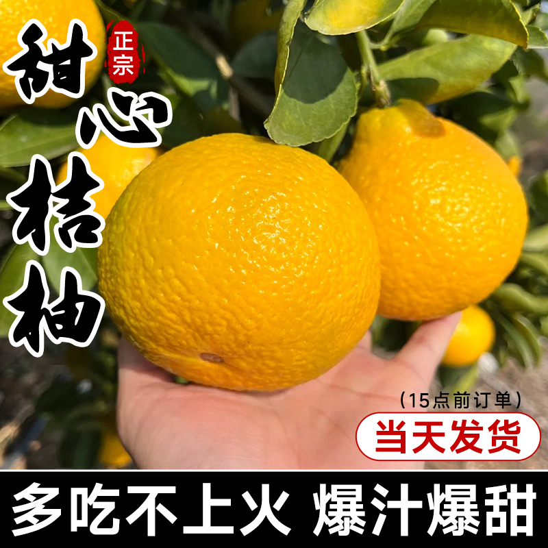 甜心桔柚福建平和柚子新鲜水果包邮黄肉蜜柚琯溪黄箱纯甜爆汁阳光