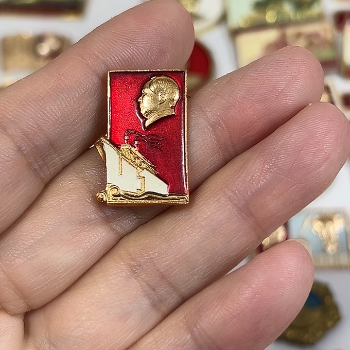 泽***家其他普通金属纪念章