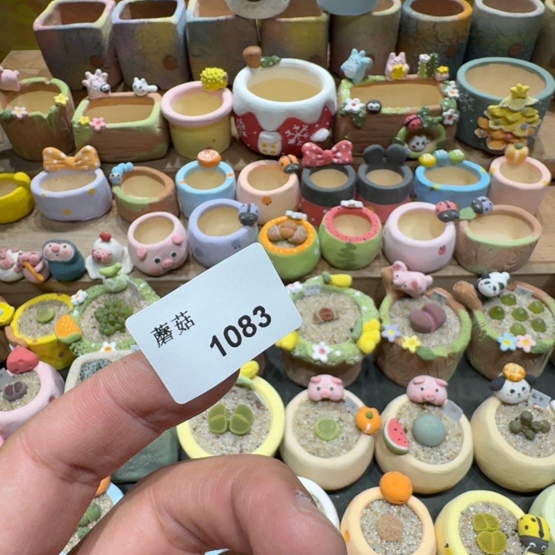 Z***z蘑菇1083花花花花花花