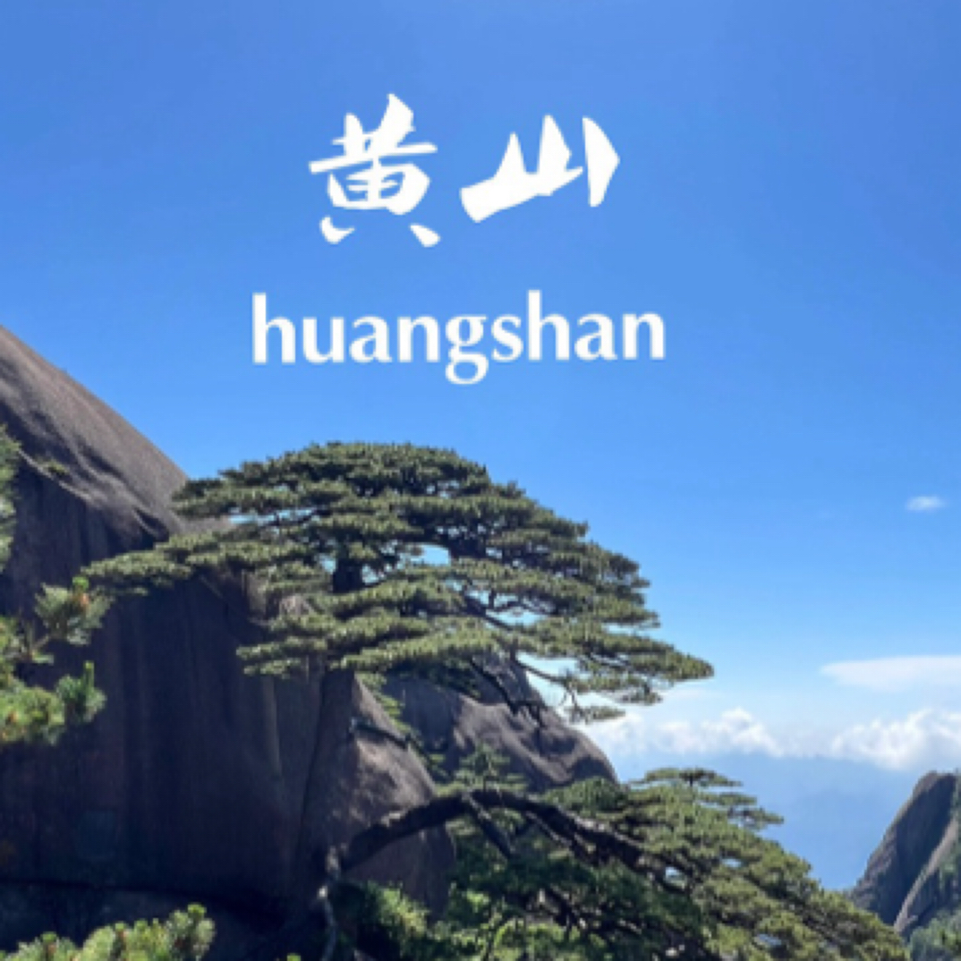 新茶【奉天下】人之道 损不足以奉有余 孰能以余奉天下 唯有道者