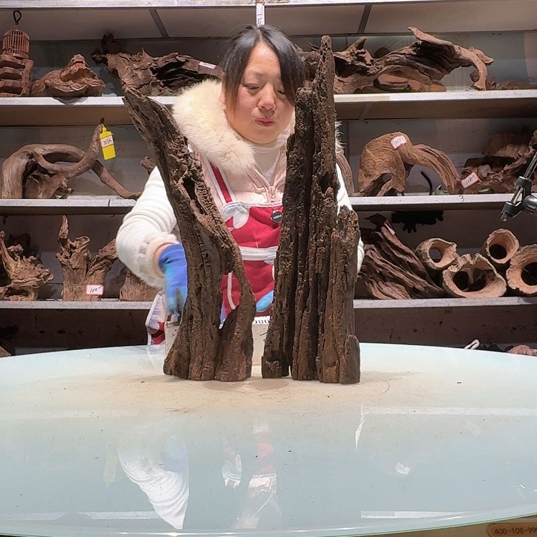 倍褚沉木不包损必褪色无*0845-2