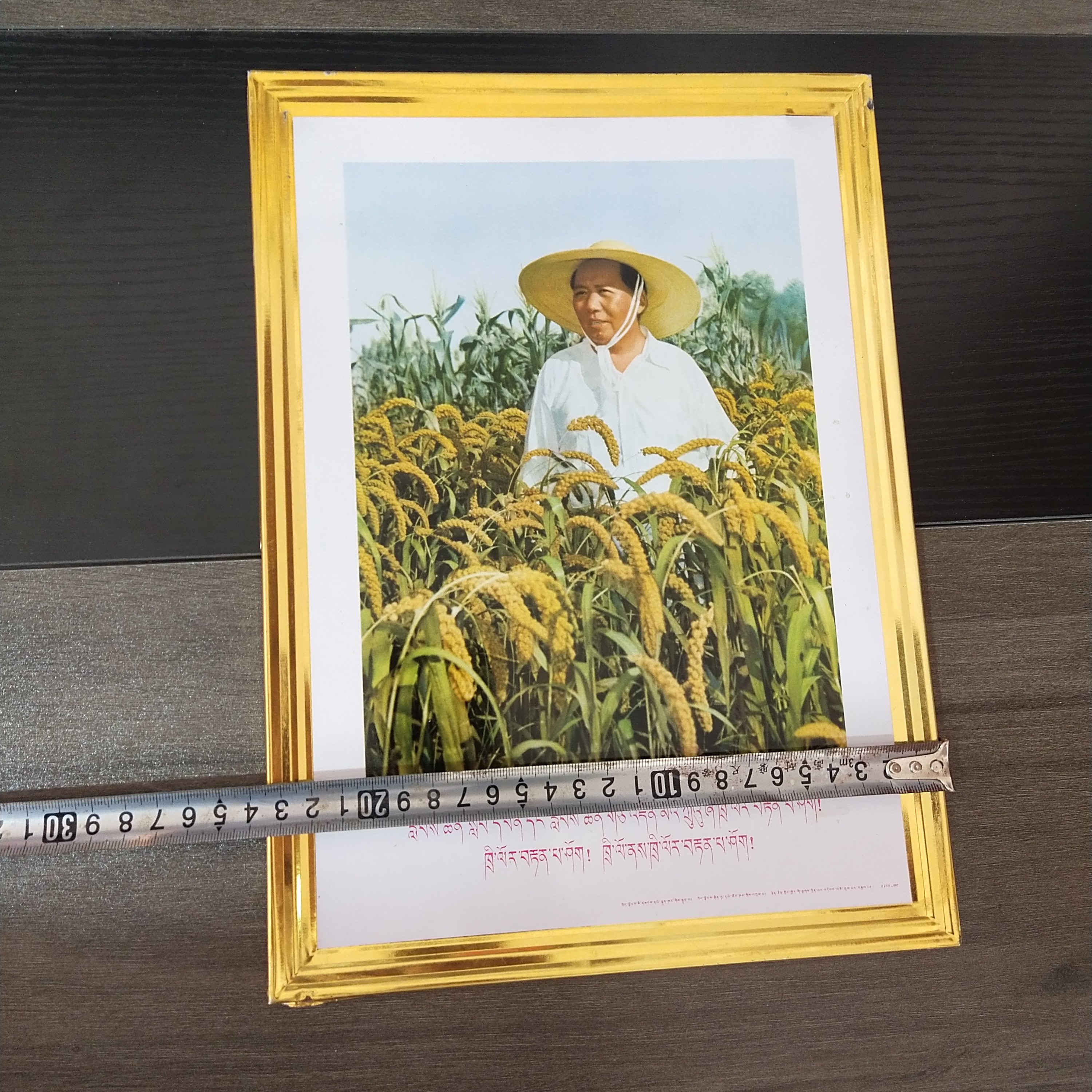 铁皮画装饰画，长32.5厘米，宽23厘米