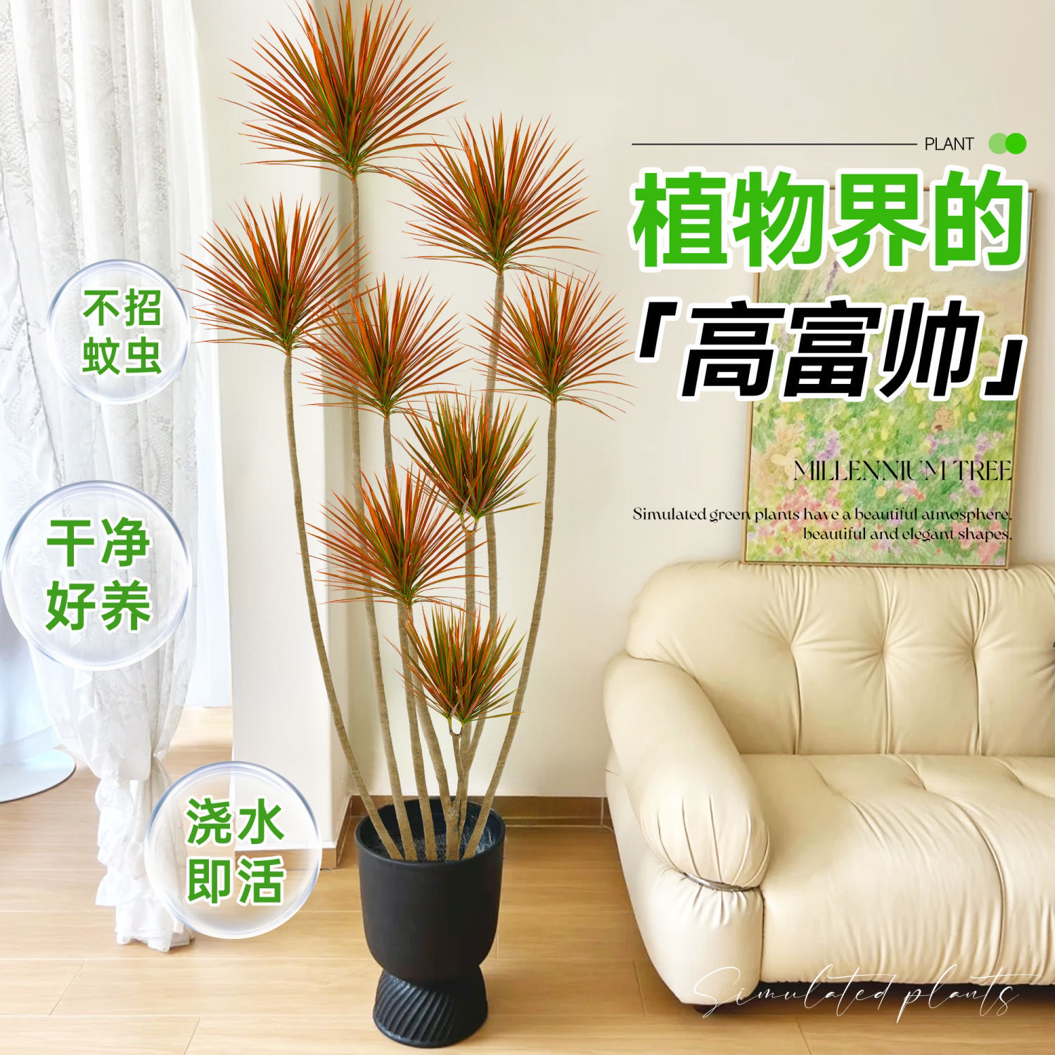 千年木七彩铁北欧盆栽三色龙血树客厅室内吸甲醛净化空气绿植盆栽