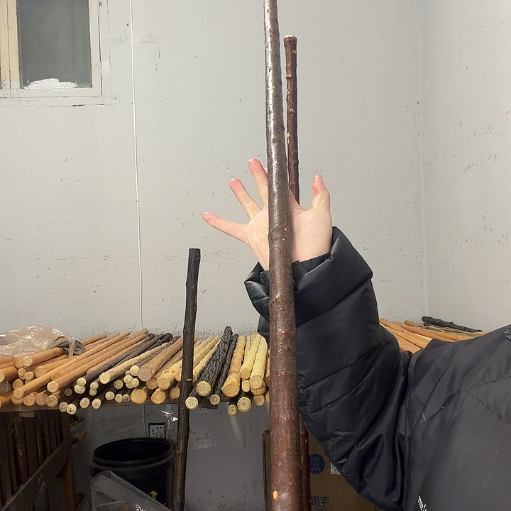 花***叔秦岭石山兔儿条鞭杆