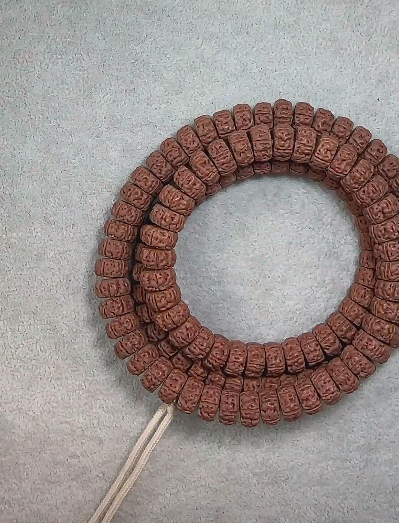 【屠龙·108】龙切老树王小金刚菩提毕业单根