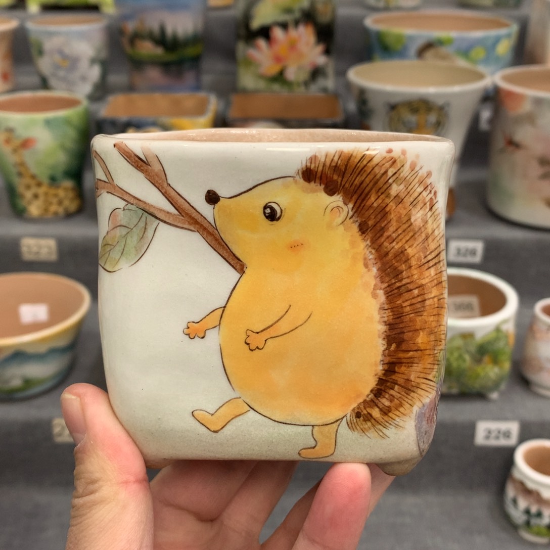 罐精品手绘年货节活动特惠浮力